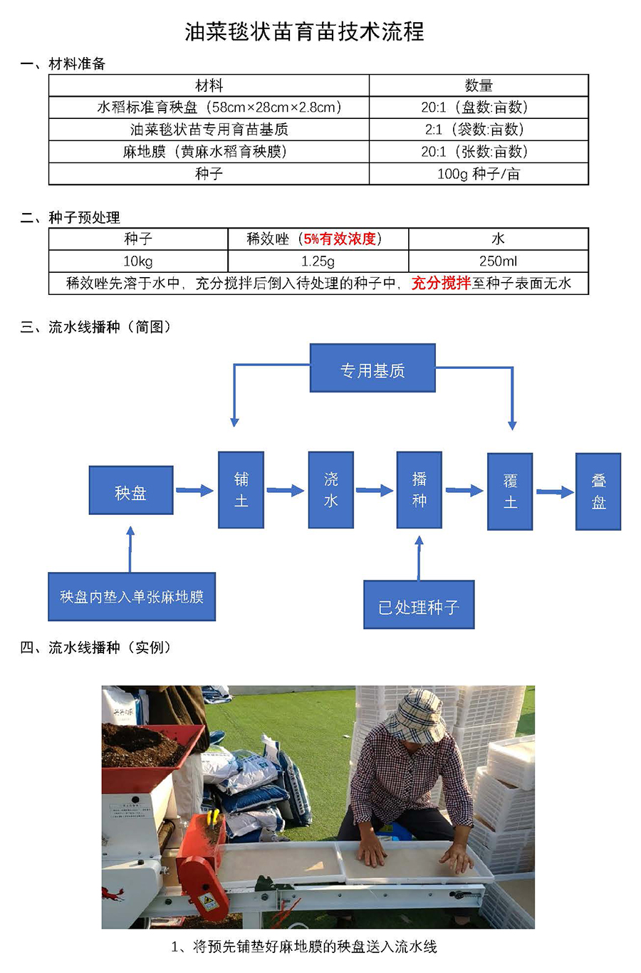 云馬--油菜毯狀苗育苗技術流程_頁面_1.jpg