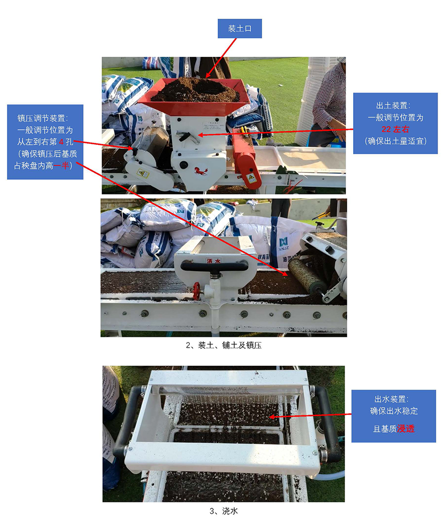 云馬--油菜毯狀苗育苗技術流程_頁面_2.jpg
