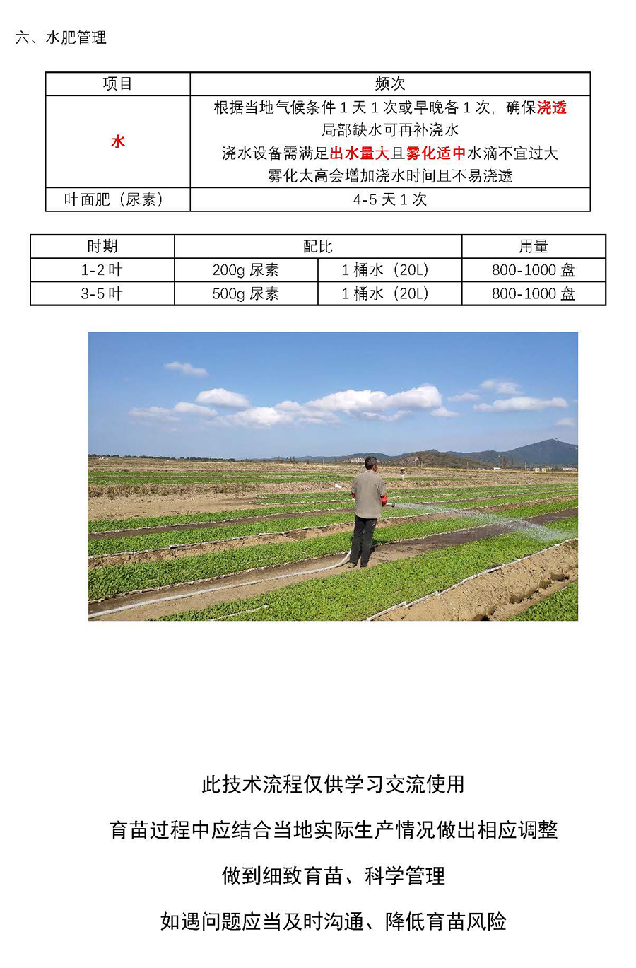 云馬--油菜毯狀苗育苗技術流程_頁面_6.jpg